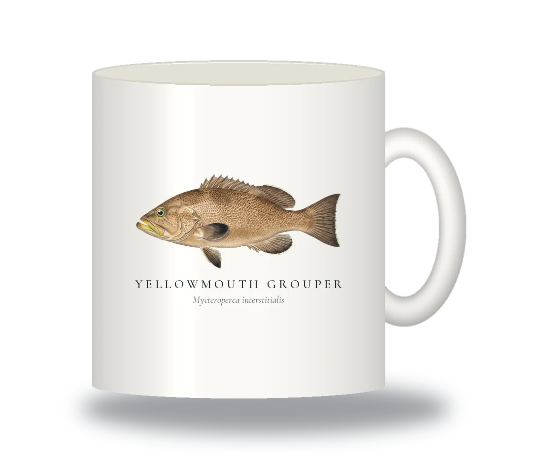 Ceramic Mug with Yellowmouth Grouper illustration