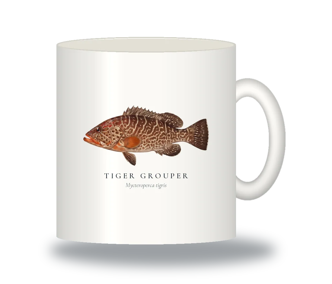 Ceramic Mug with Tiger Grouper illustration