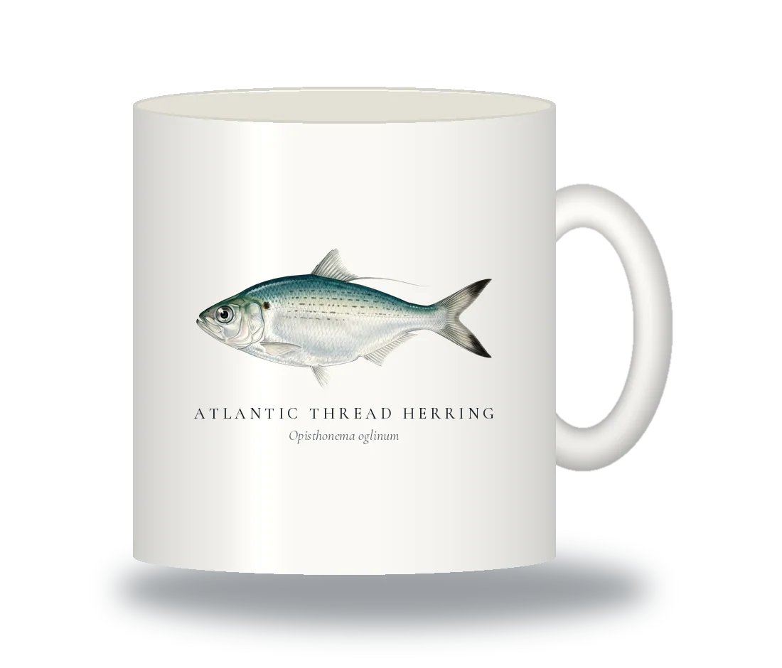 Ceramic Mug with Atlantic Thread Herring illustration
