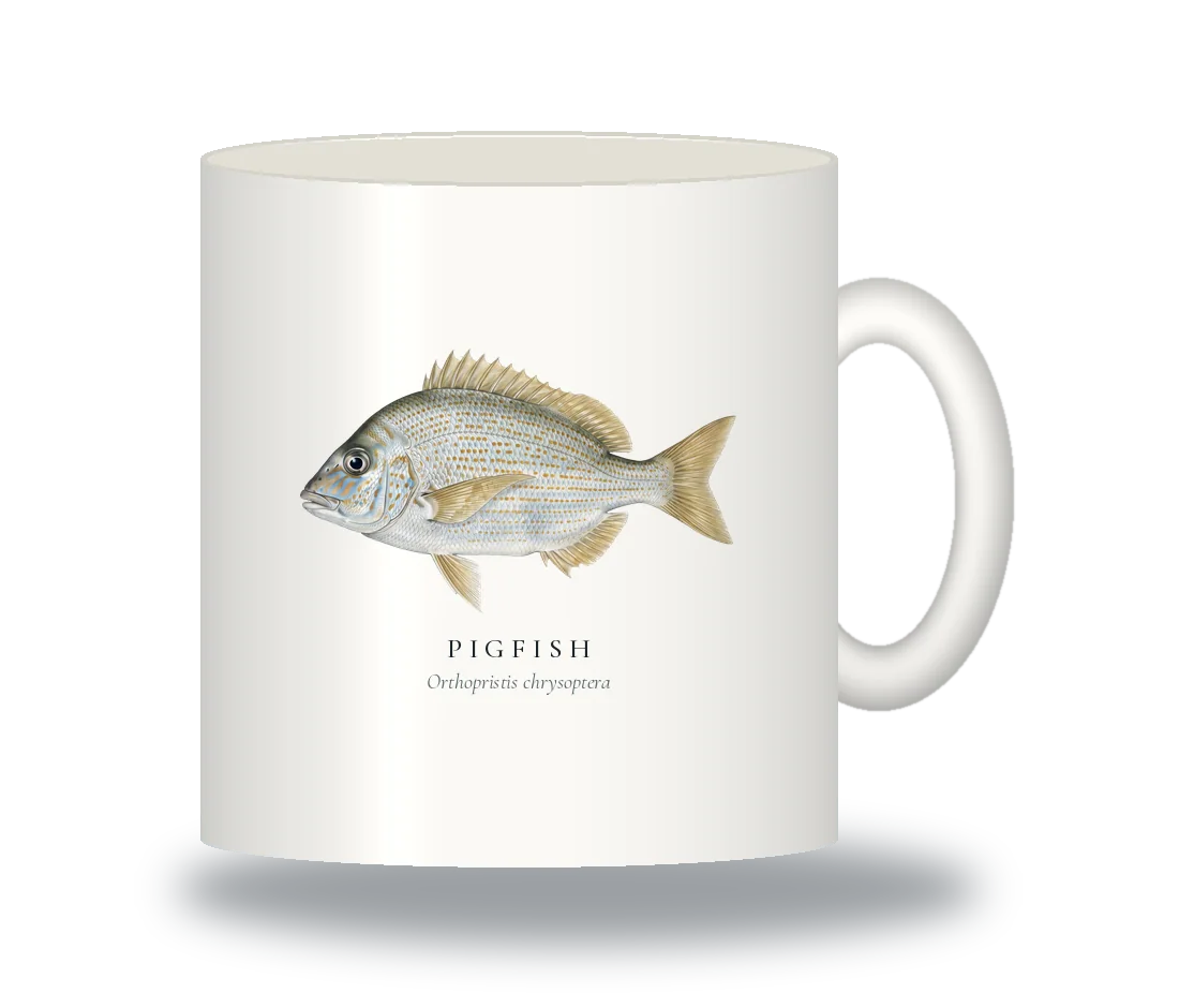Ceramic Mug with Pigfish illustration