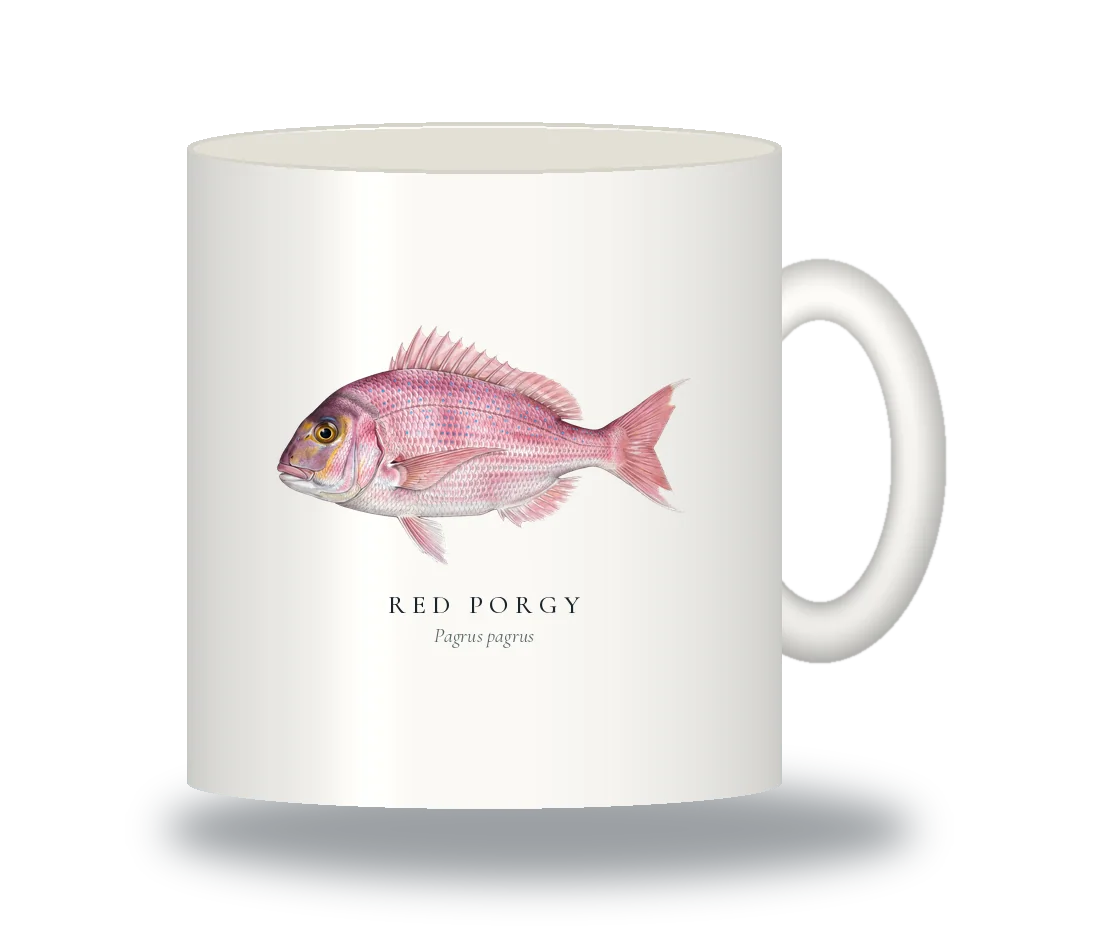 Ceramic Mug with Red Porgy illustration
