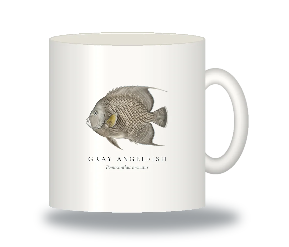 Ceramic Mug with Gray Angelfish illustration
