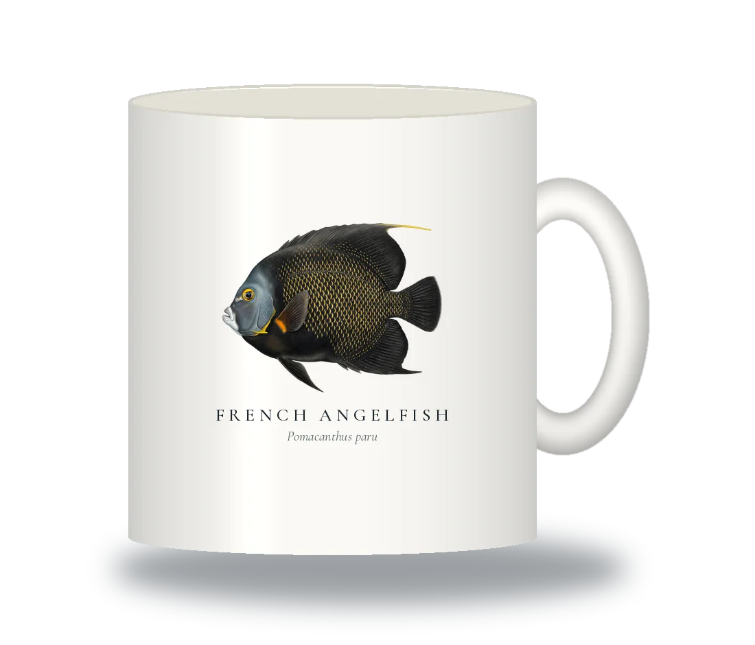 Ceramic Mug with French Angelfish illustration