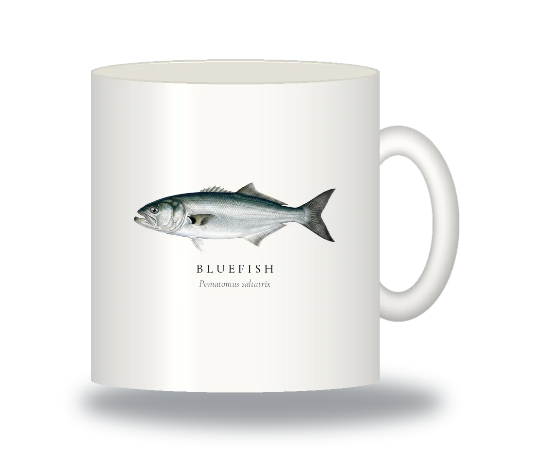 Ceramic Mug with Bluefish illustration