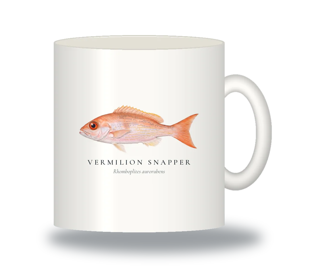 Ceramic Mug with Vermilion Snapper illustration