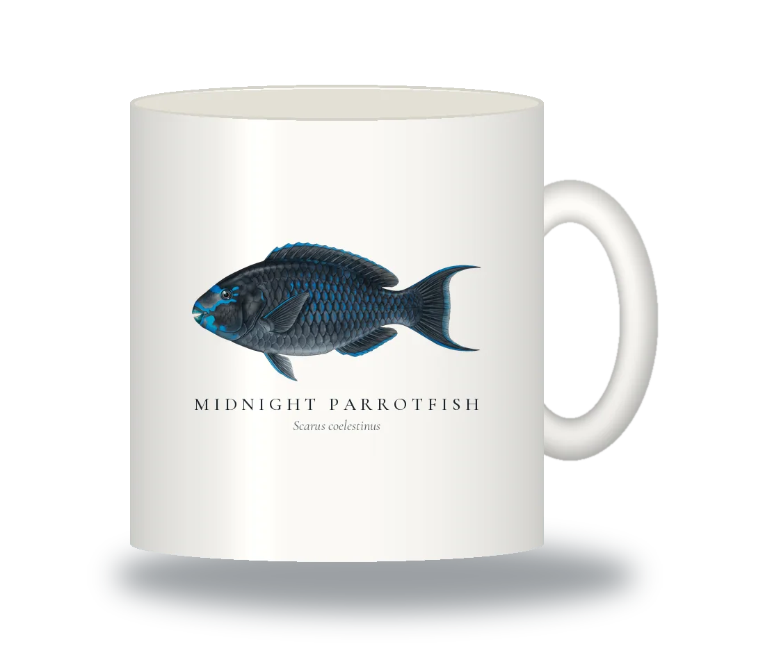 Ceramic Mug with Midnight Parrotfish illustration
