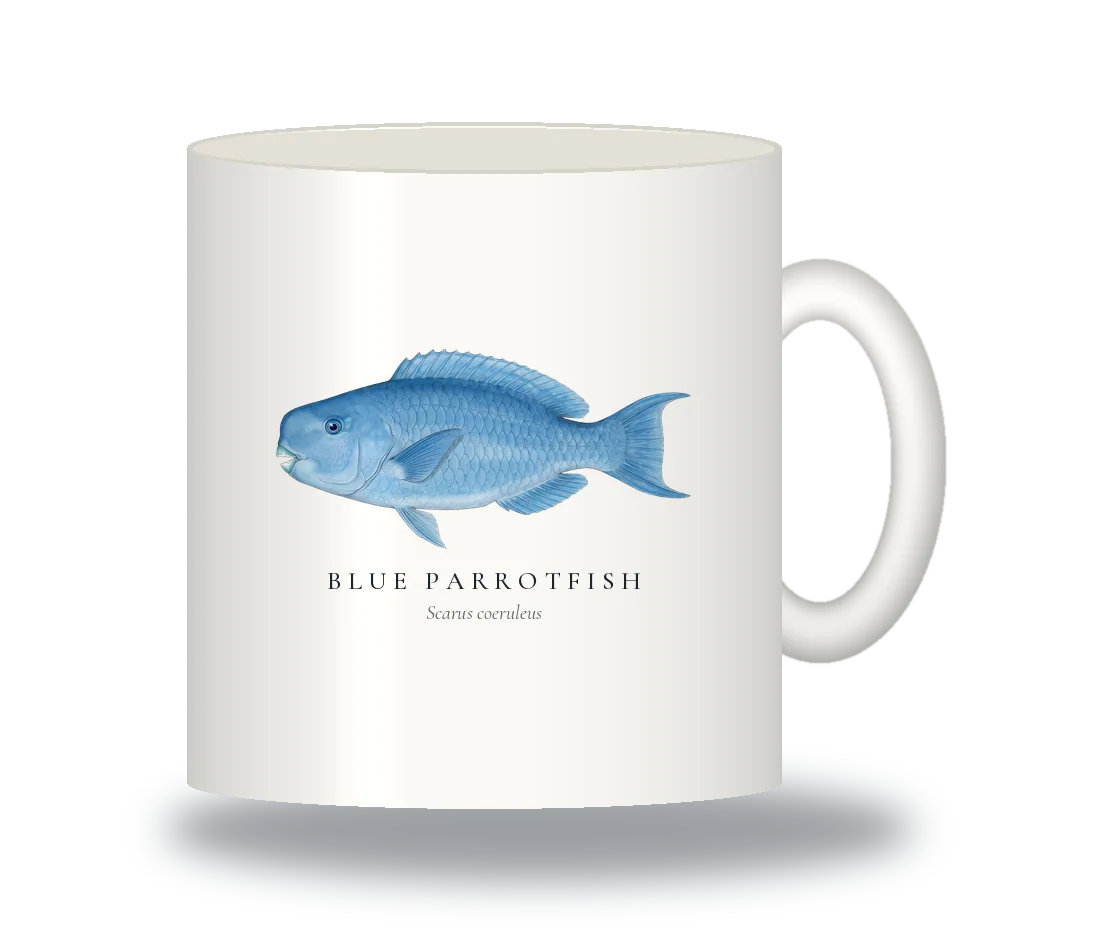 Ceramic Mug with Blue Parrotfish illustration