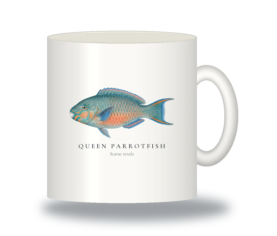 Ceramic Mug with Queen Parrotfish illustration