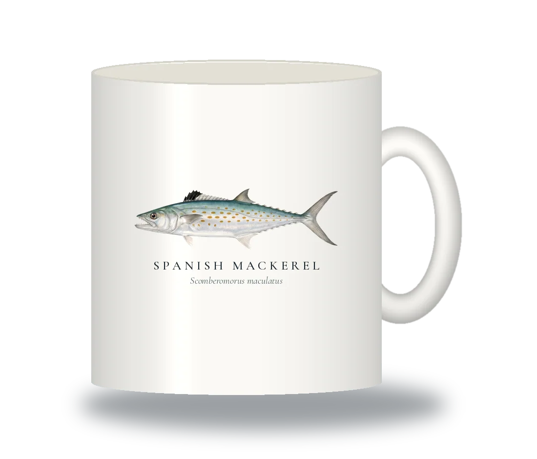 Ceramic Mug with Spanish Mackerel illustration