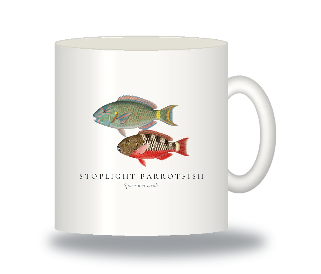 Ceramic Mug with Stoplight Parrotfish illustration