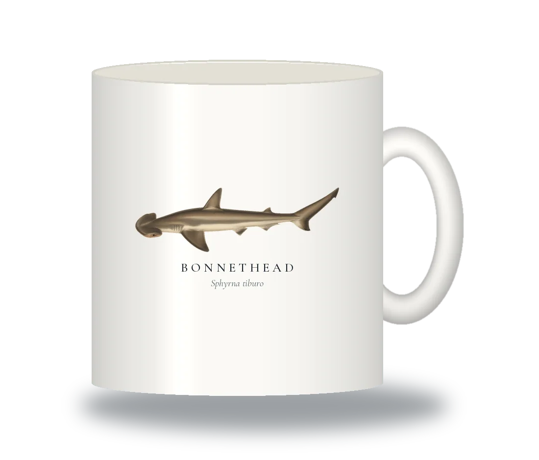 Ceramic Mug with Bonnethead illustration