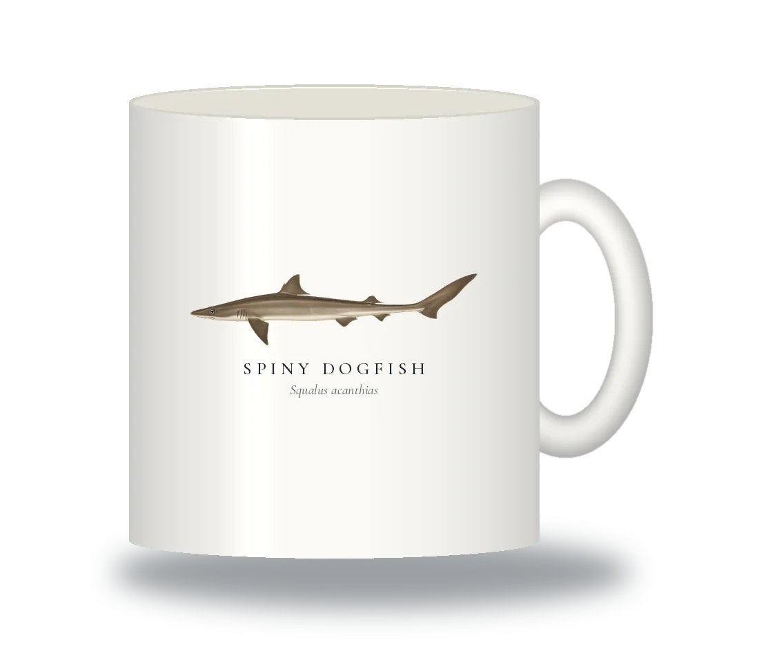 Ceramic Mug with Spiny Dogfish illustration