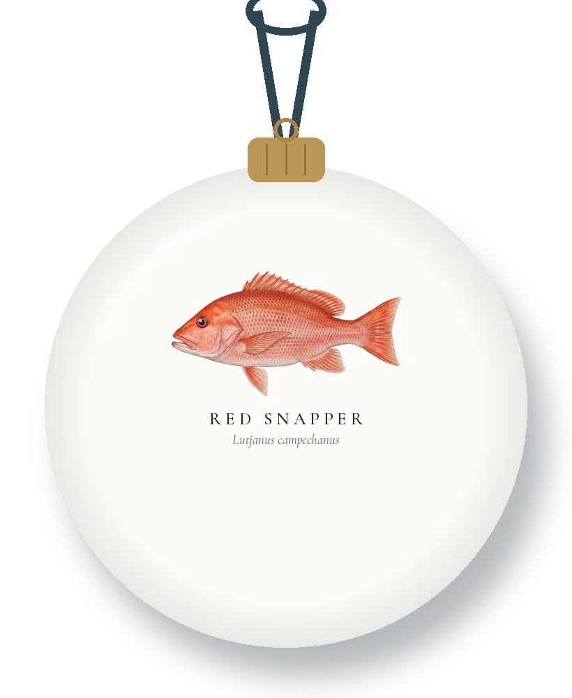 Catch Ornament · Red Snapper