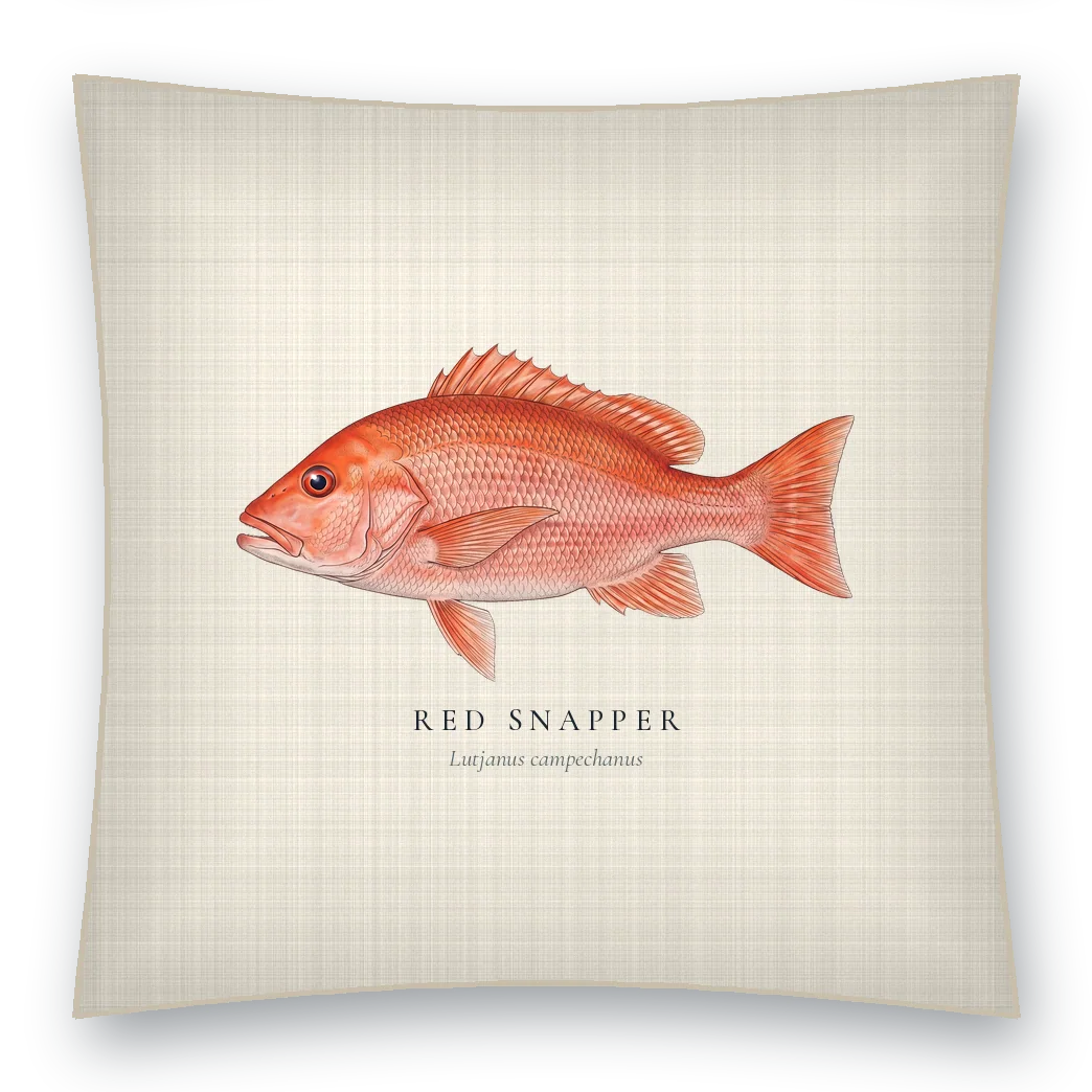 Throw Pillow · Red Snapper