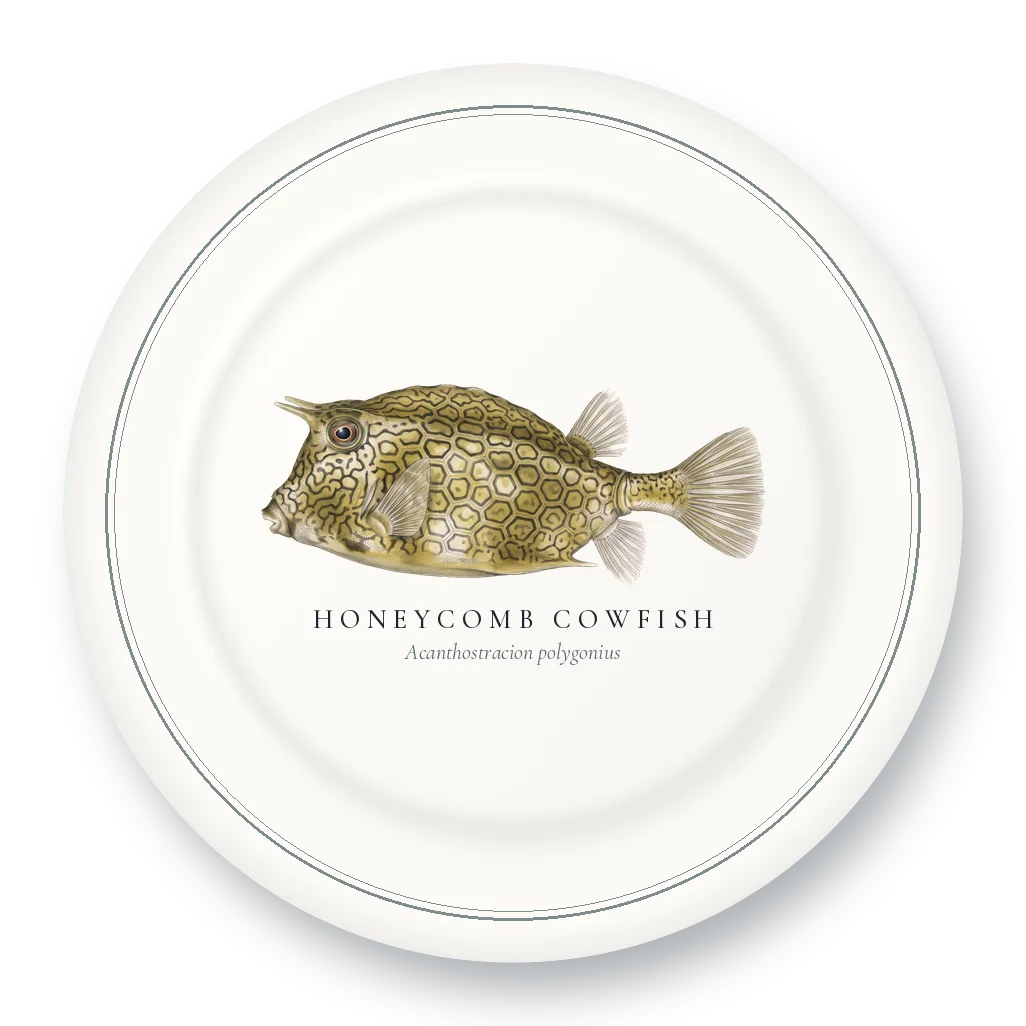 Dinner Plate with Honeycomb Cowfish illustration