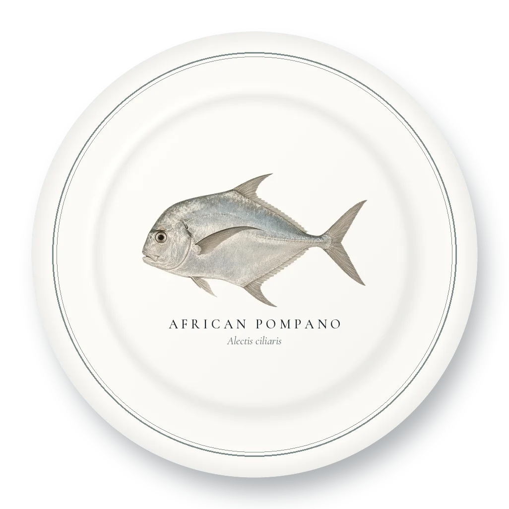 Dinner Plate with African Pompano illustration