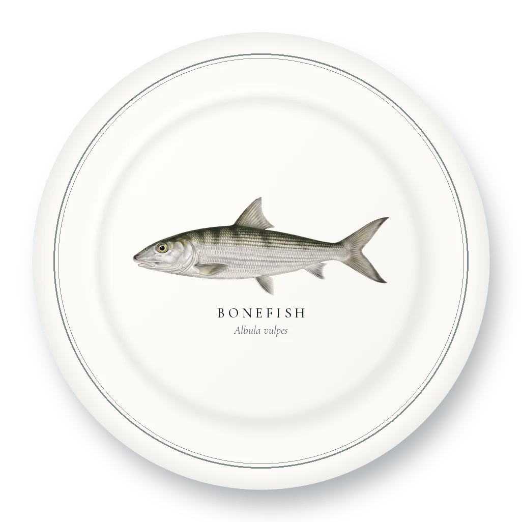Dinner Plate with Bonefish illustration