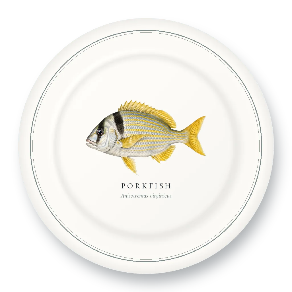Dinner Plate with Porkfish illustration