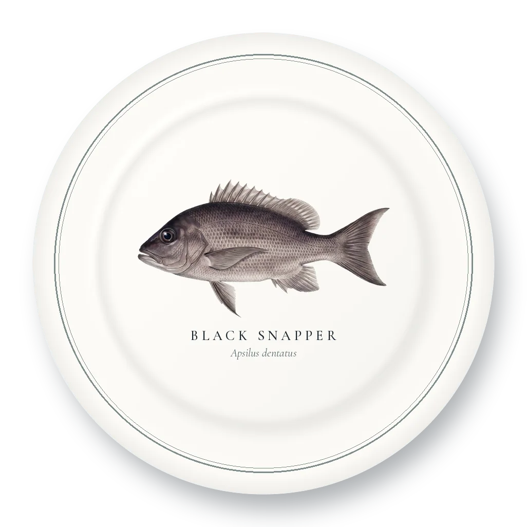 Dinner Plate with Black Snapper illustration