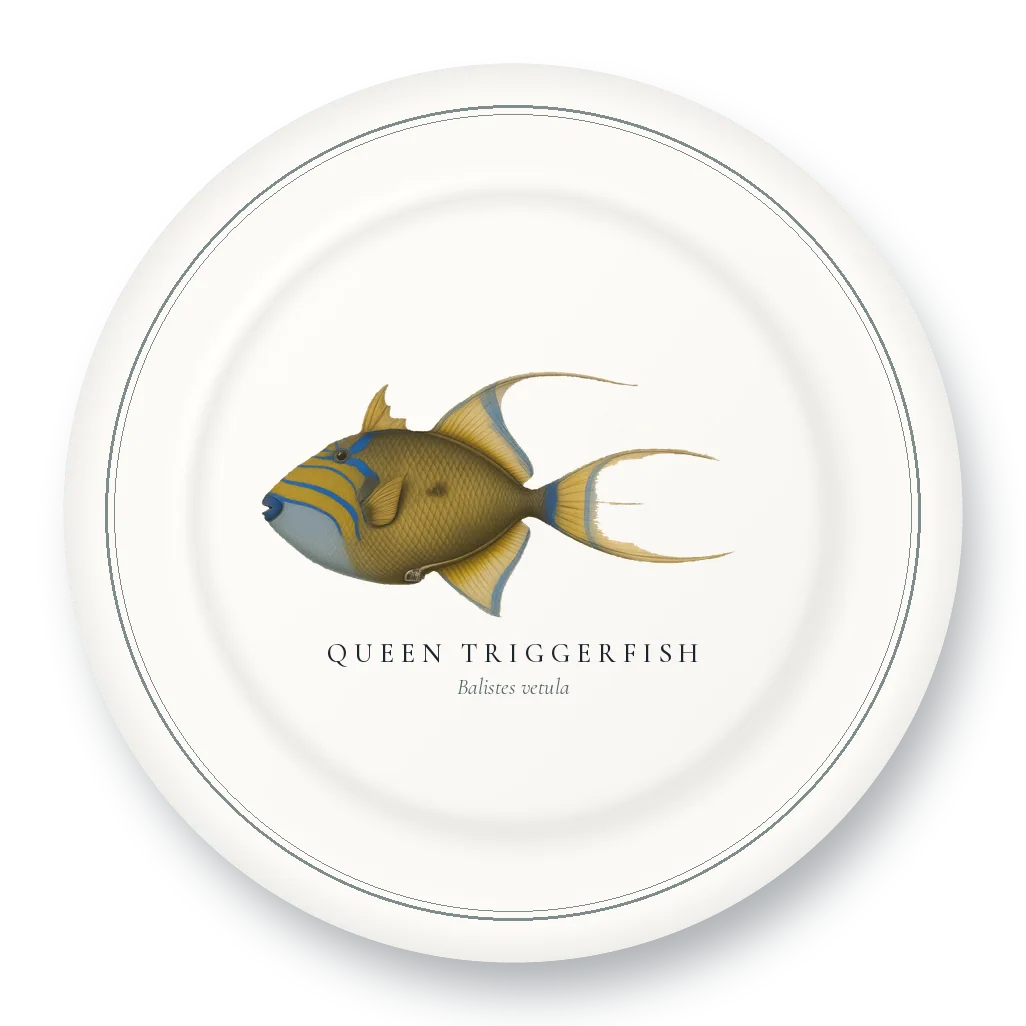 Dinner Plate with Queen Triggerfish illustration