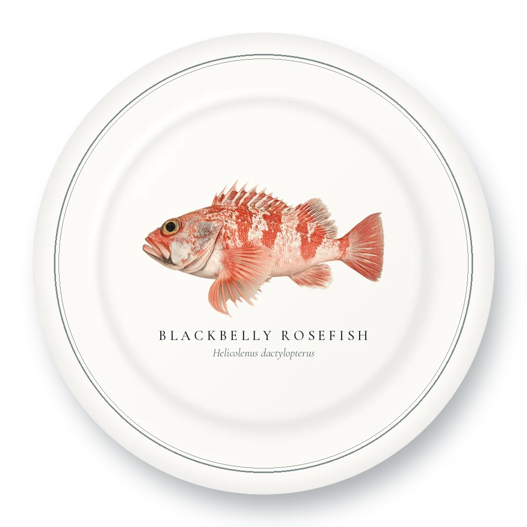Dinner Plate with Blackbelly Rosefish illustration