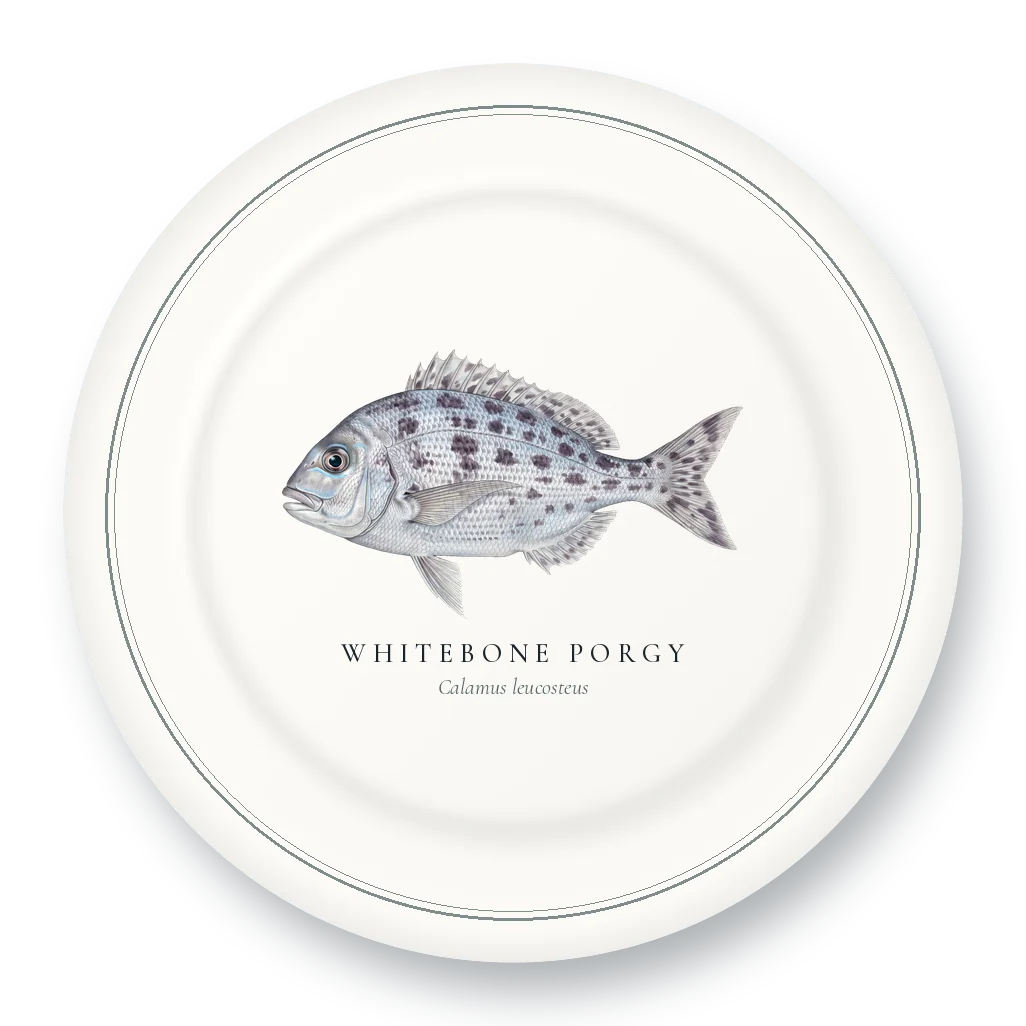 Dinner Plate with Whitebone Porgy illustration