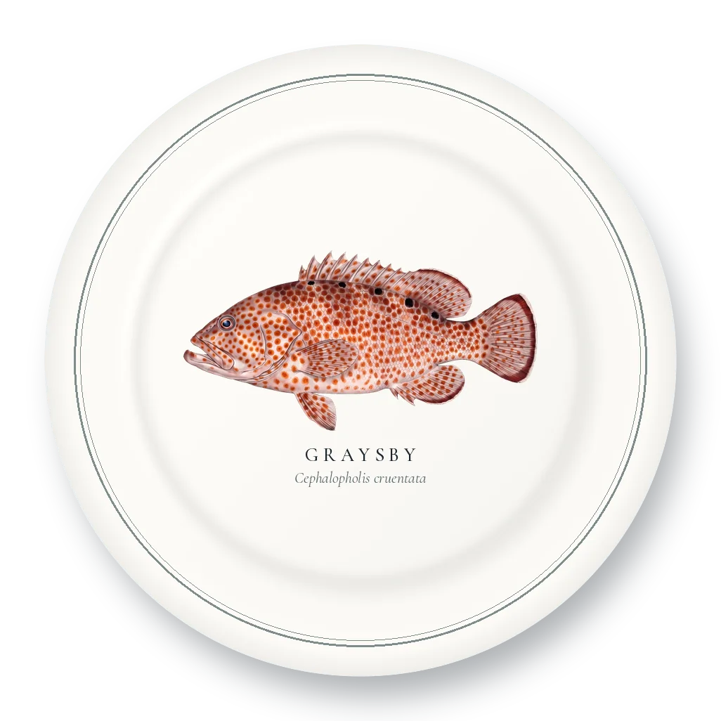 Dinner Plate with Graysby illustration