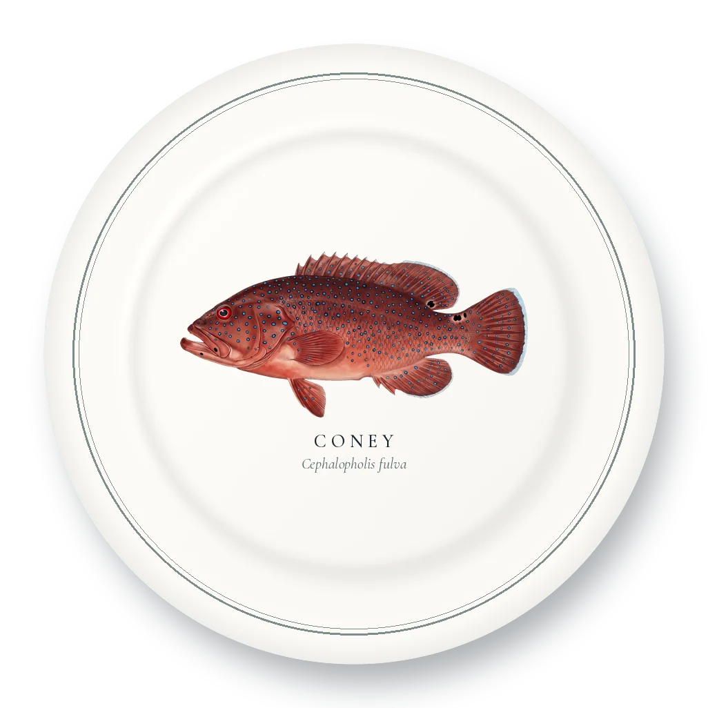 Dinner Plate with Coney illustration