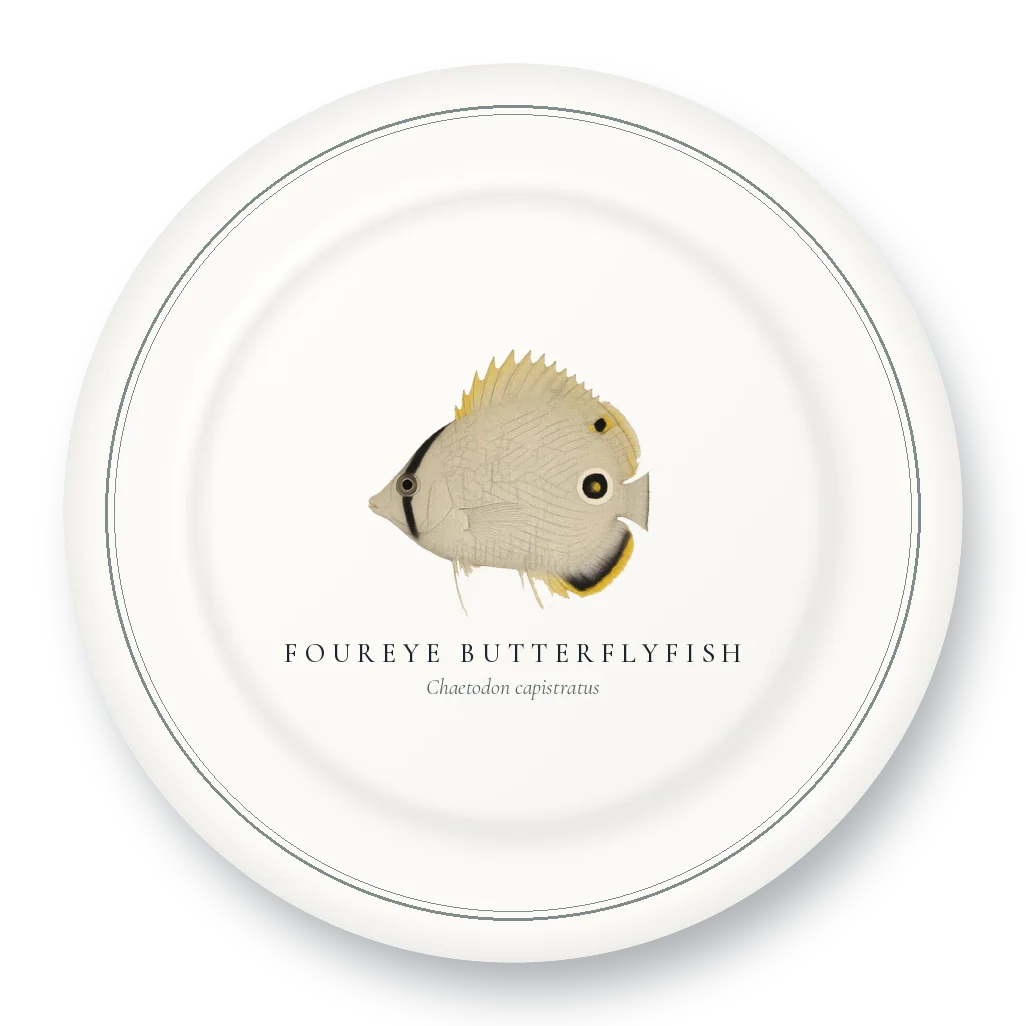Dinner Plate with Foureye Butterflyfish illustration