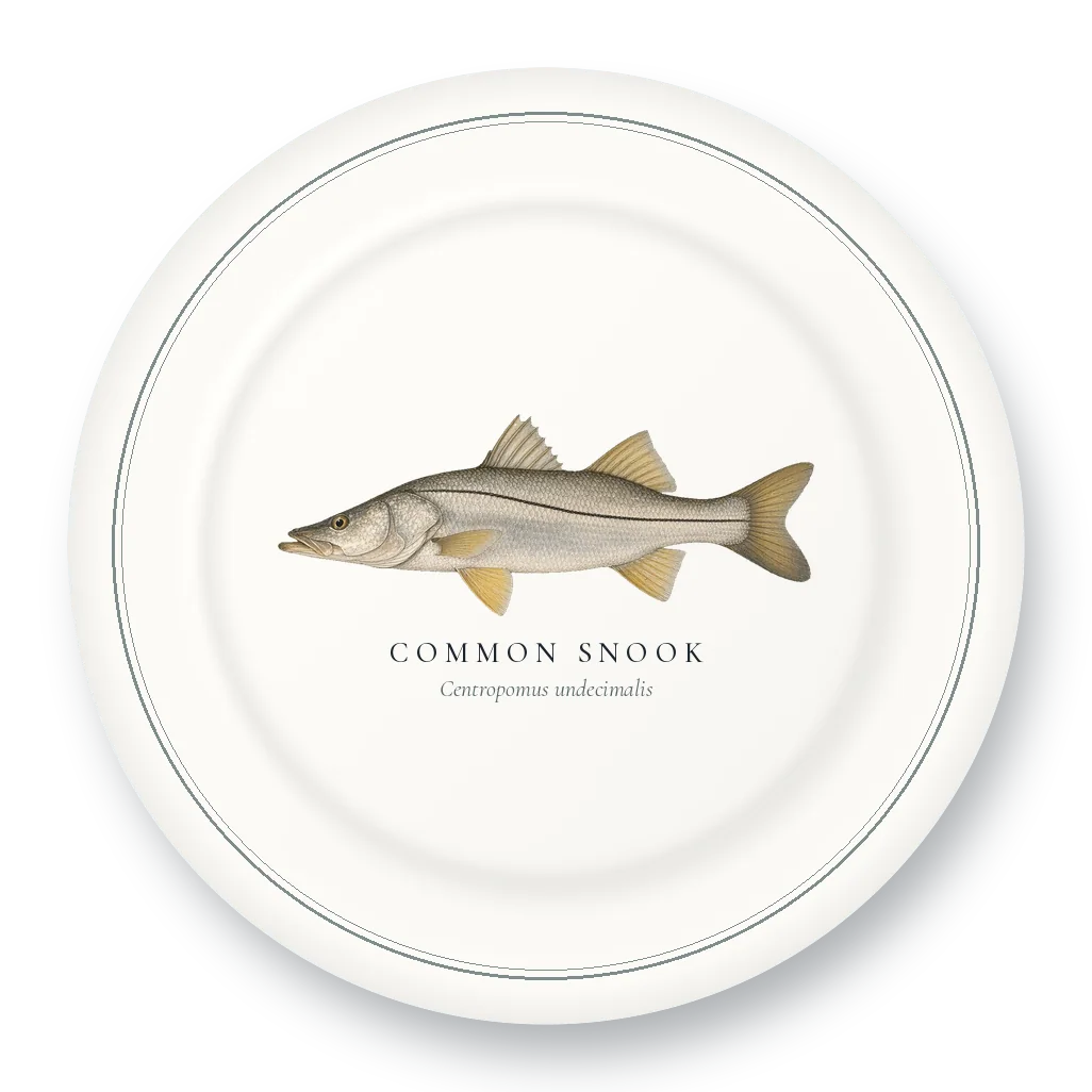 Dinner Plate with Common Snook illustration