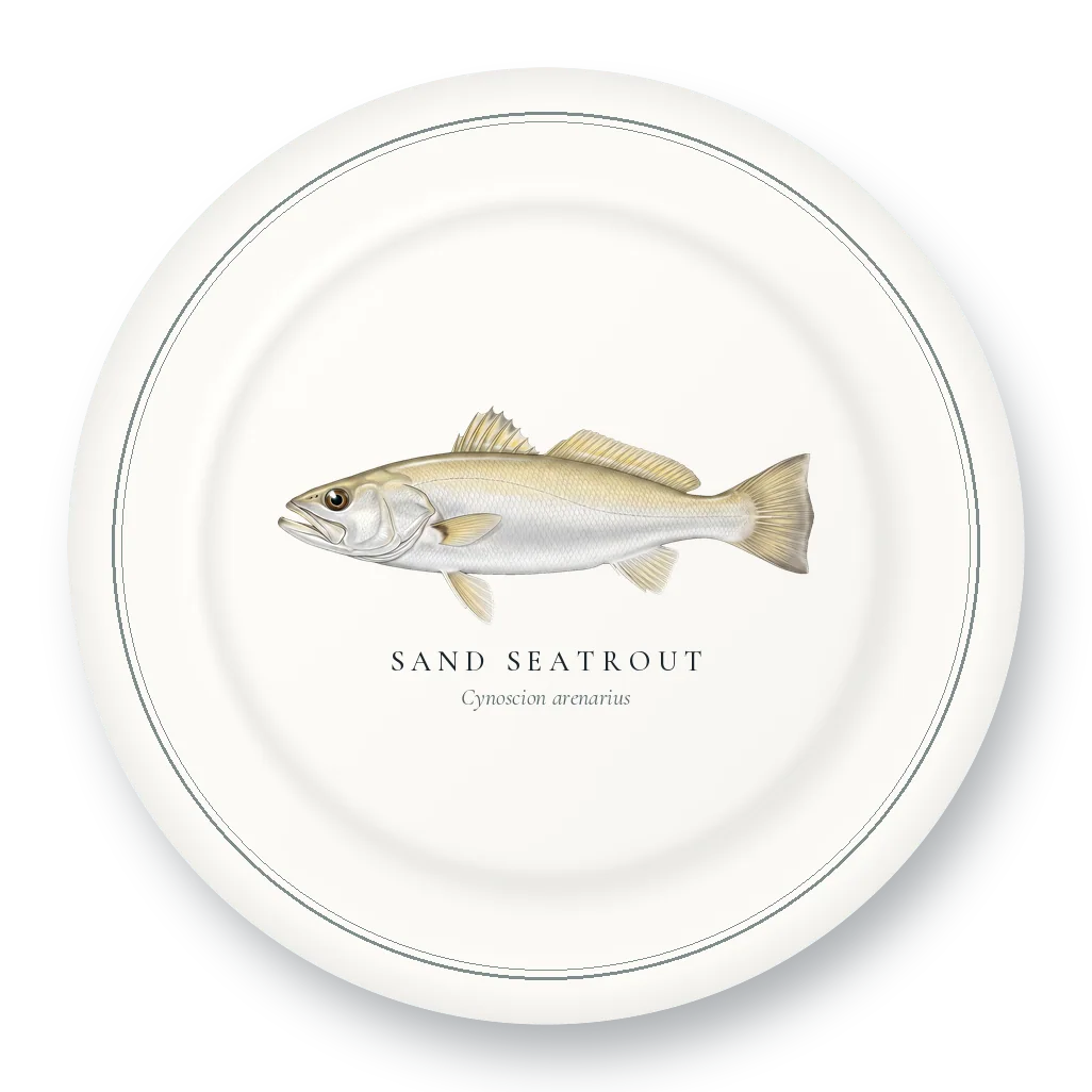 Dinner Plate with Sand Seatrout illustration