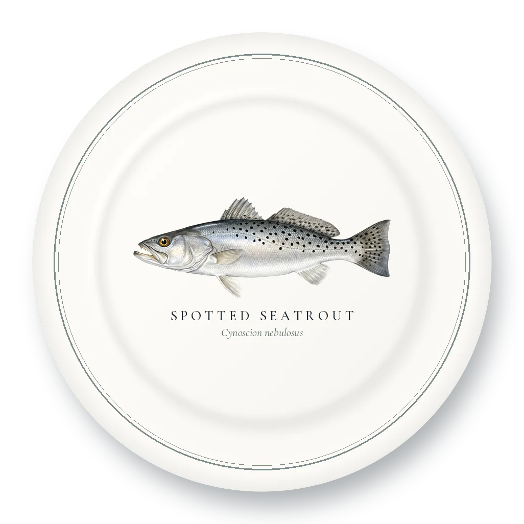 Dinner Plate with Spotted Seatrout illustration