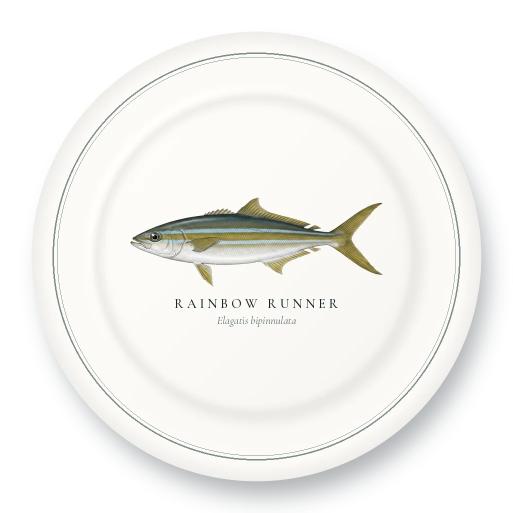 Dinner Plate with Rainbow Runner illustration