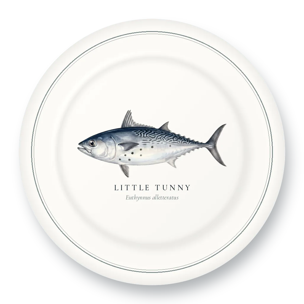 Dinner Plate with Little Tunny illustration