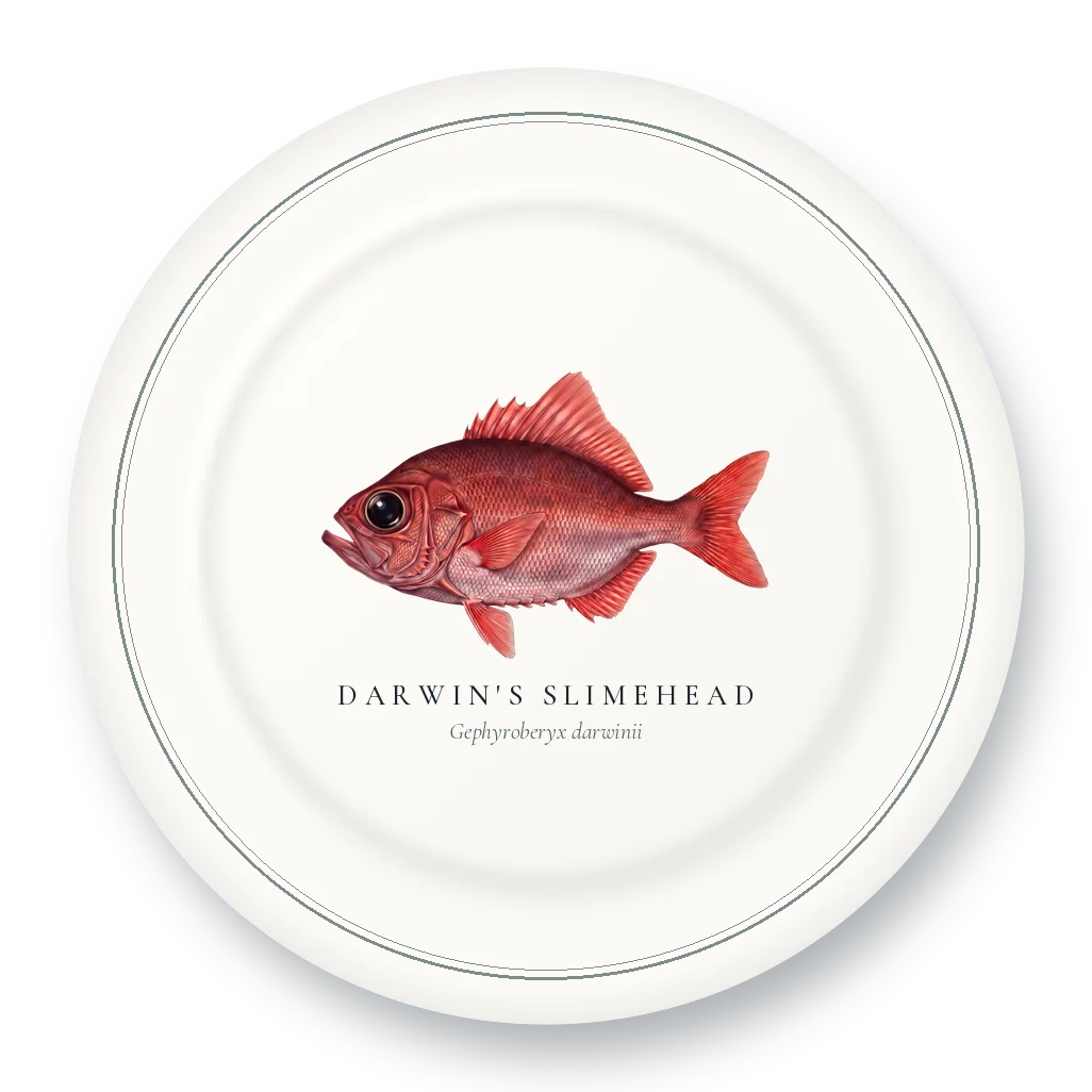 Dinner Plate with Darwin's Slimehead illustration