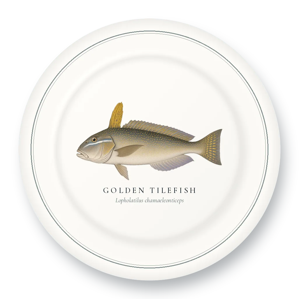 Dinner Plate with Golden Tilefish illustration