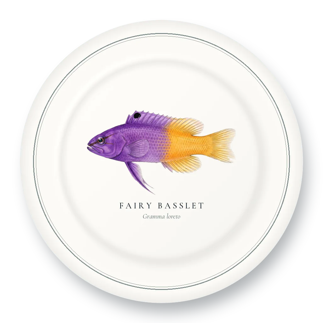 Dinner Plate with Fairy Basslet illustration