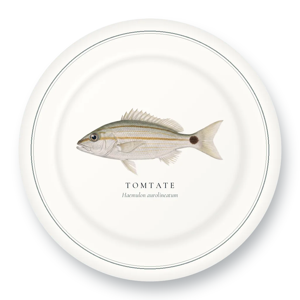 Dinner Plate with Tomtate illustration