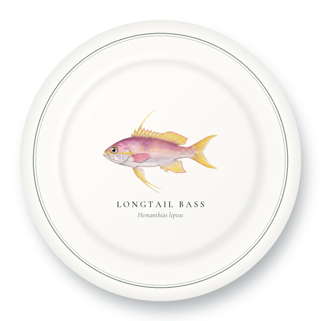 Dinner Plate with Longtail Bass illustration