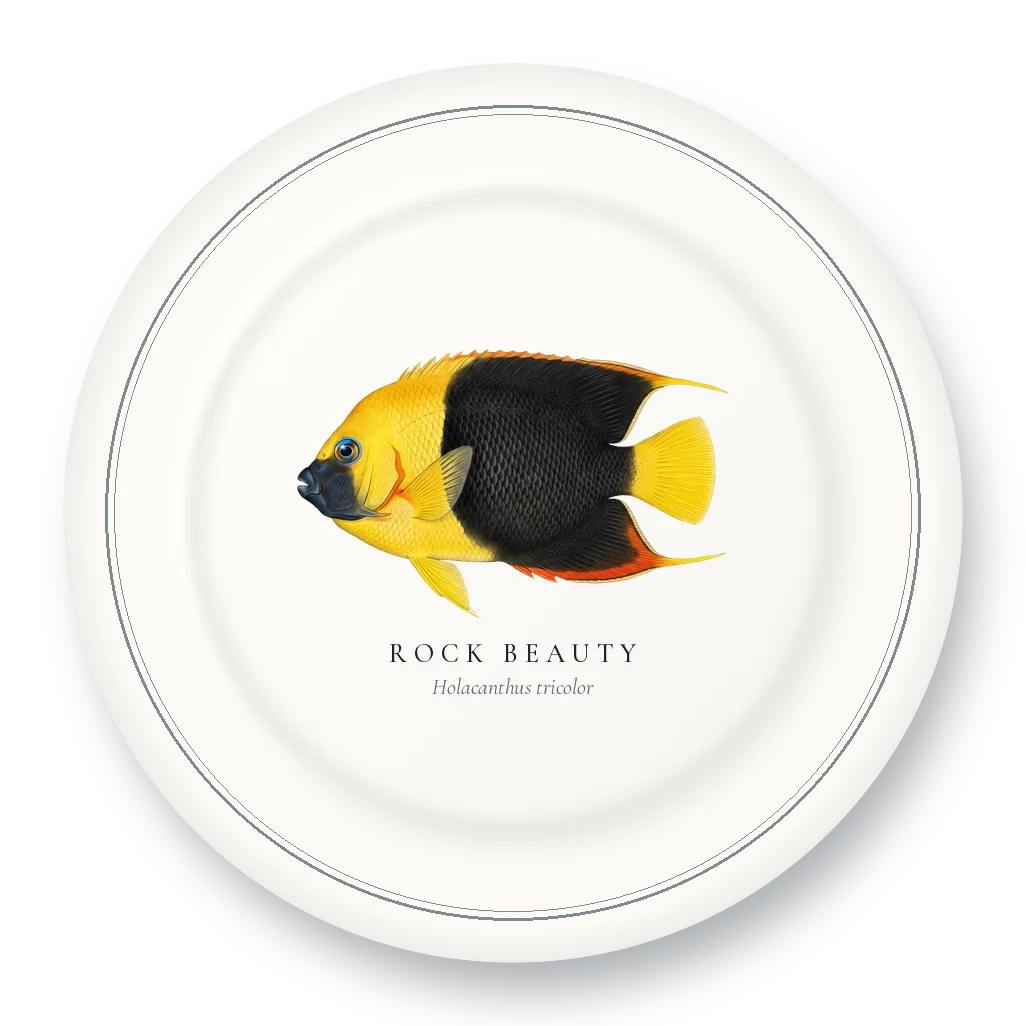 Dinner Plate with Rock Beauty illustration