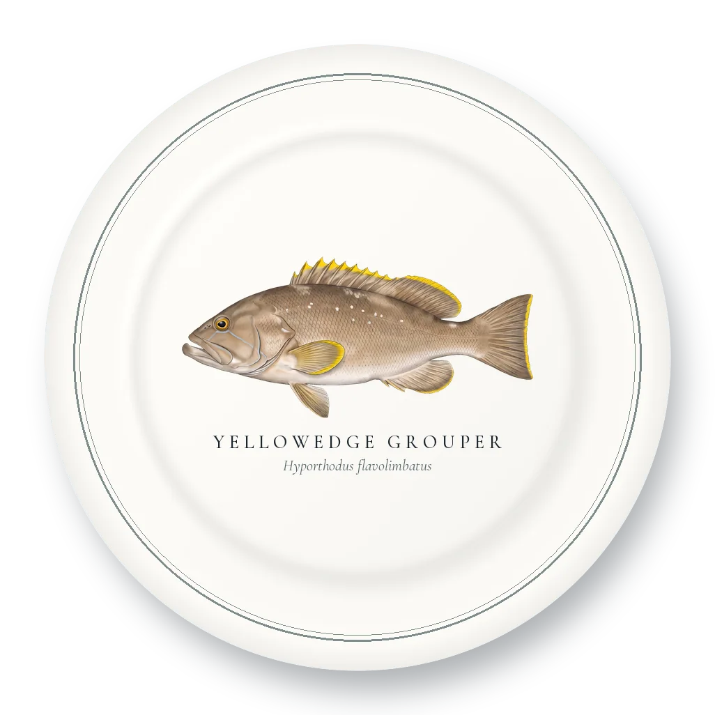 Dinner Plate with Yellowedge Grouper illustration