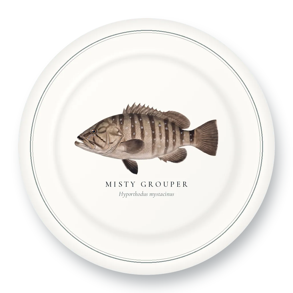 Dinner Plate with Misty Grouper illustration