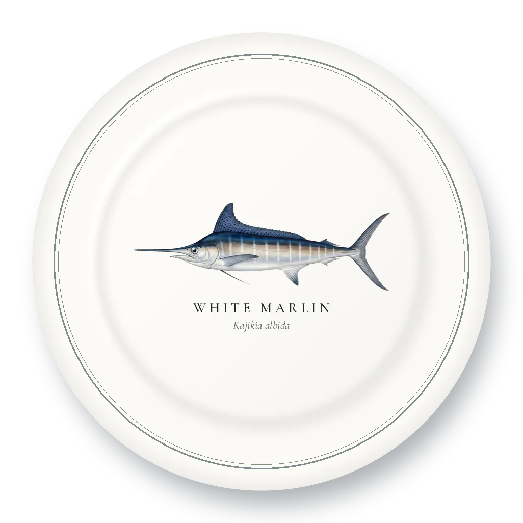 Dinner Plate with White Marlin illustration