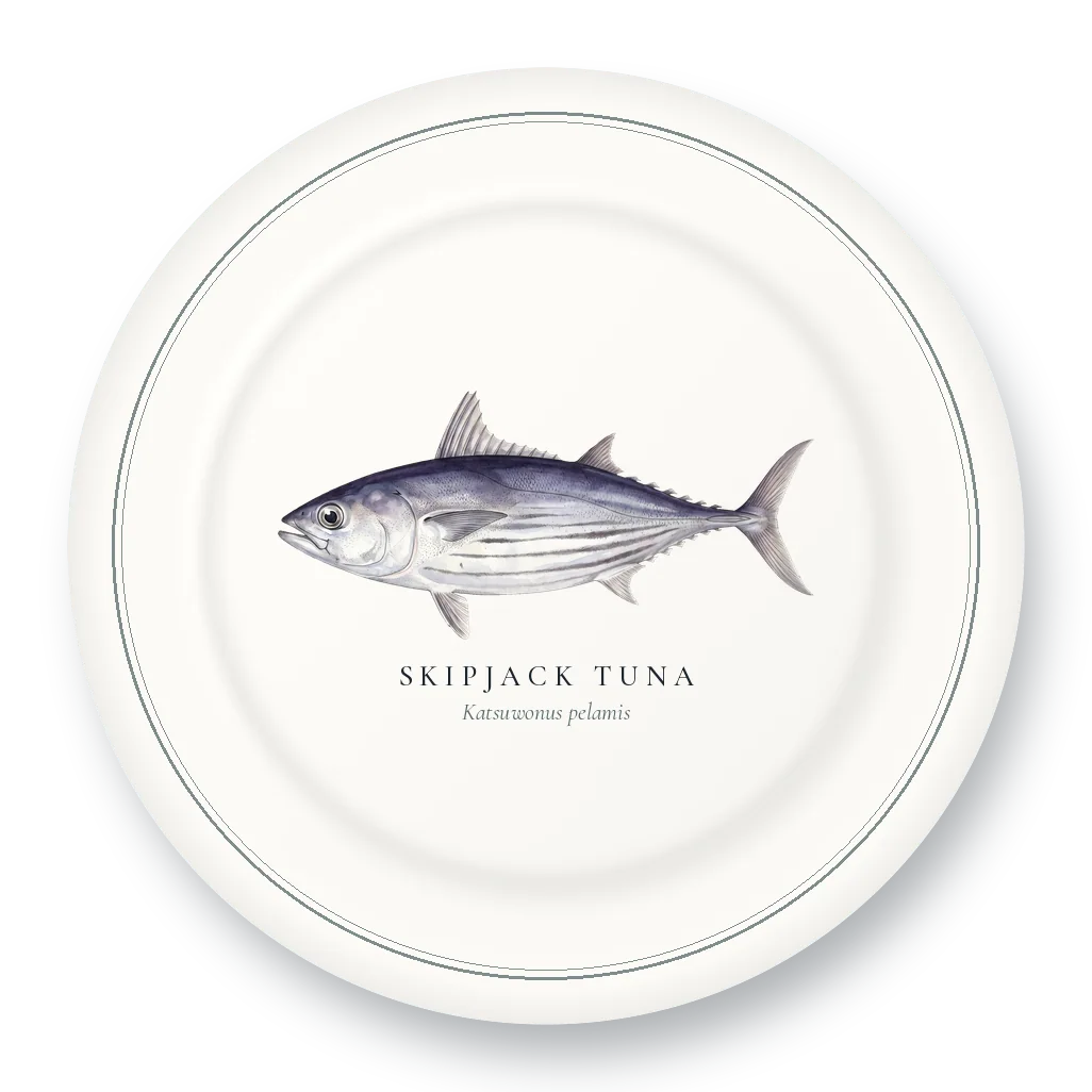 Dinner Plate with Skipjack Tuna illustration