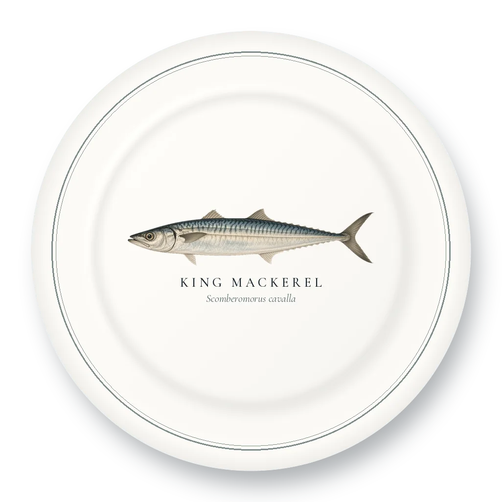 Dinner Plate with King Mackerel illustration