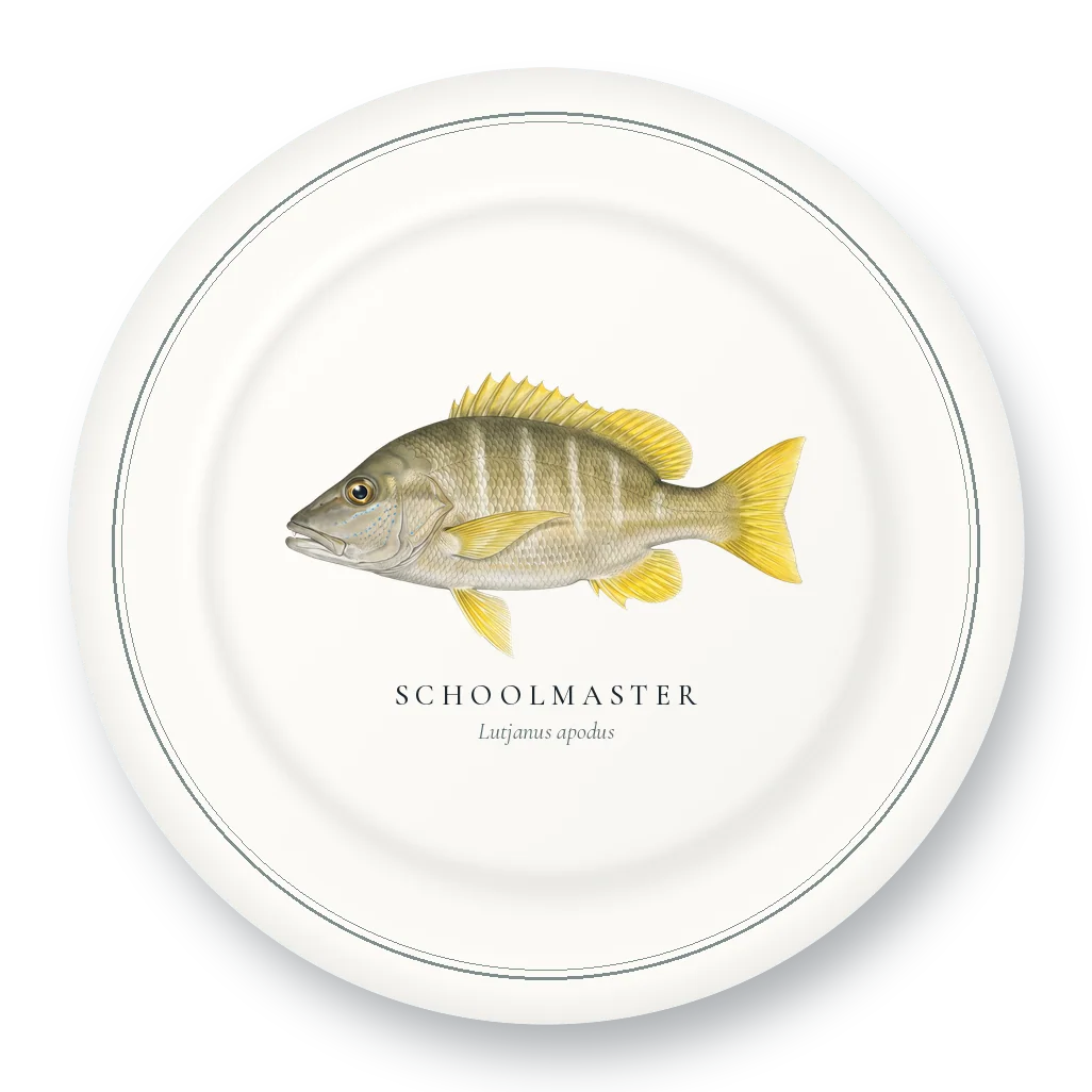 Dinner Plate with Schoolmaster illustration