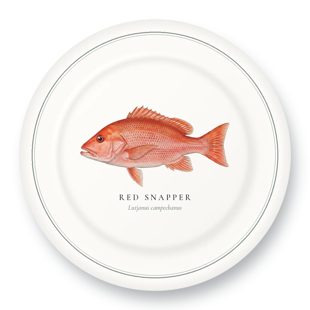 Dinner Plate with Red Snapper illustration