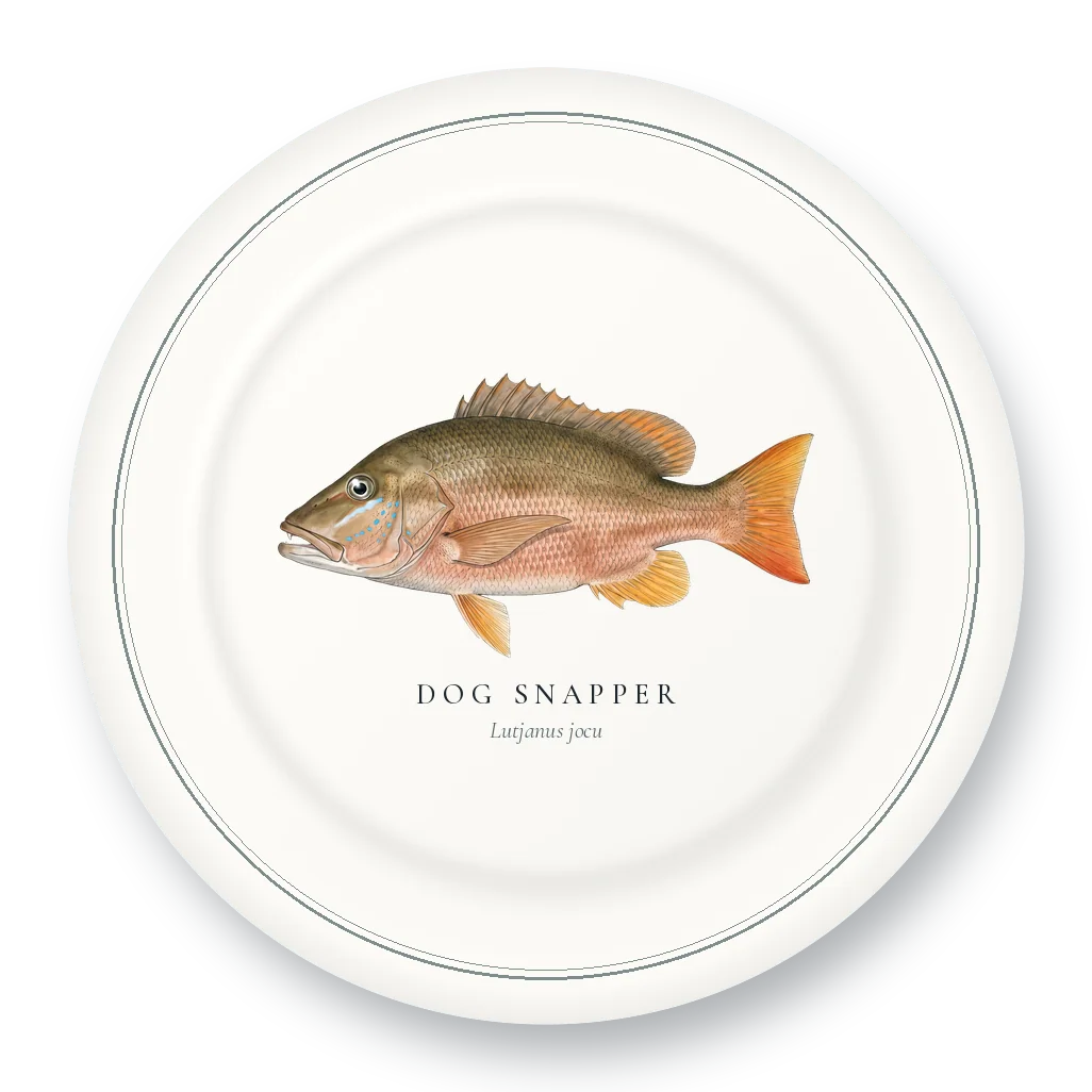 Dinner Plate with Dog Snapper illustration