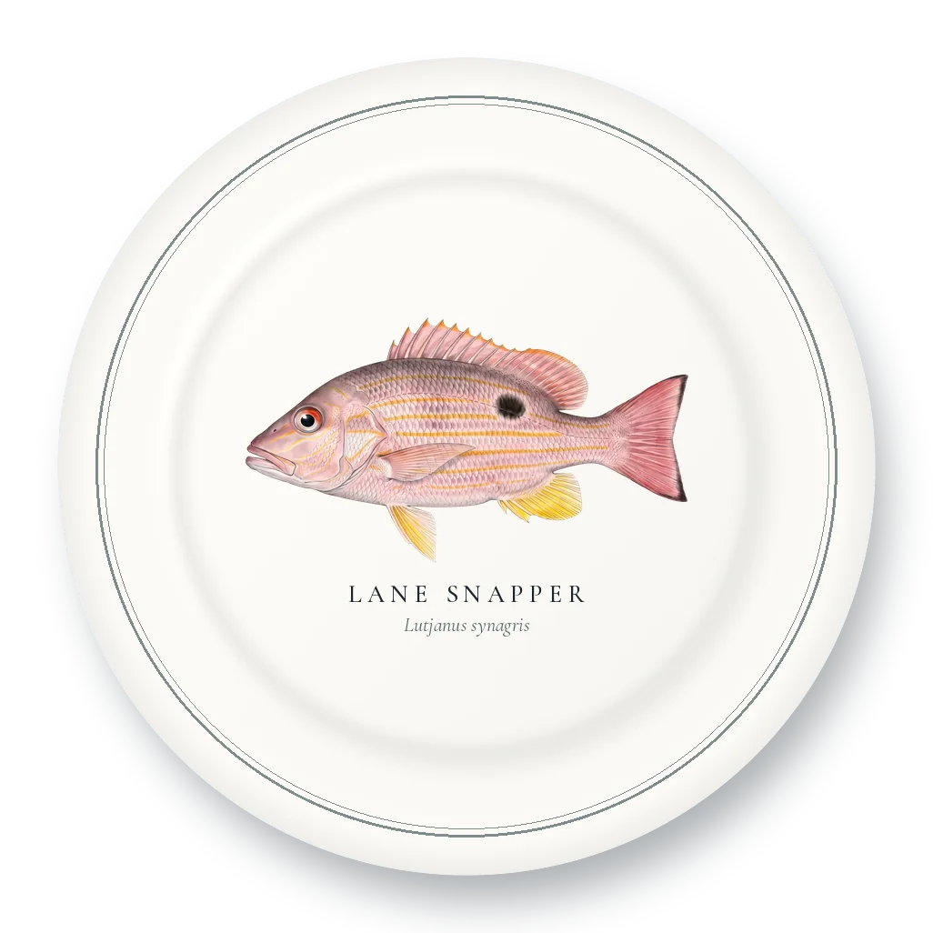 Dinner Plate with Lane Snapper illustration