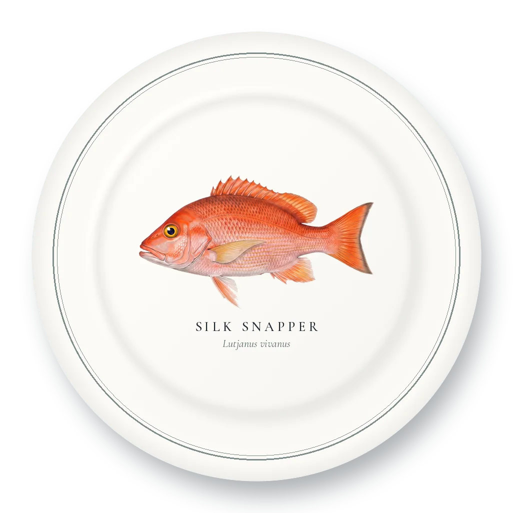 Dinner Plate with Silk Snapper illustration